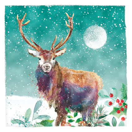 Colourful Stag Christmas Card 2021