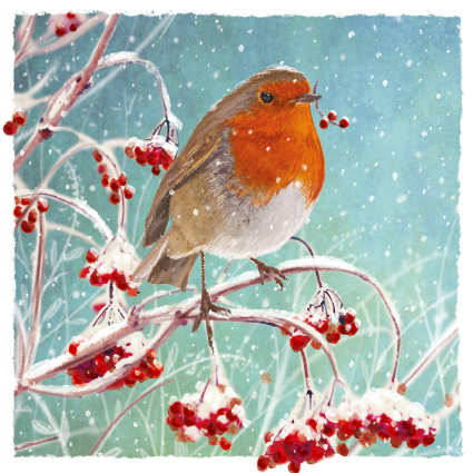 Robin in the Hedgerow Christmas Card 2021