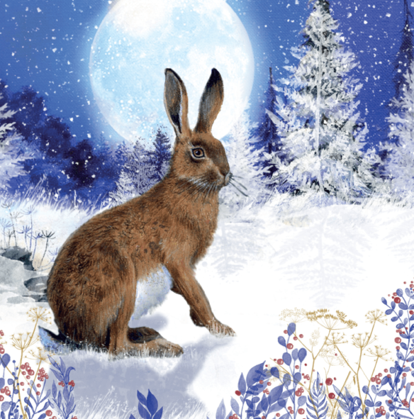 Midnight Hare