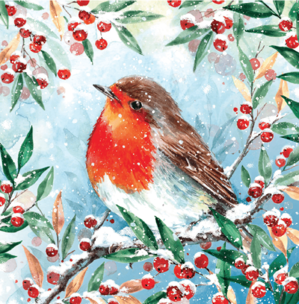 Painted Robin