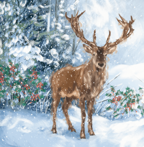 Winter Stag