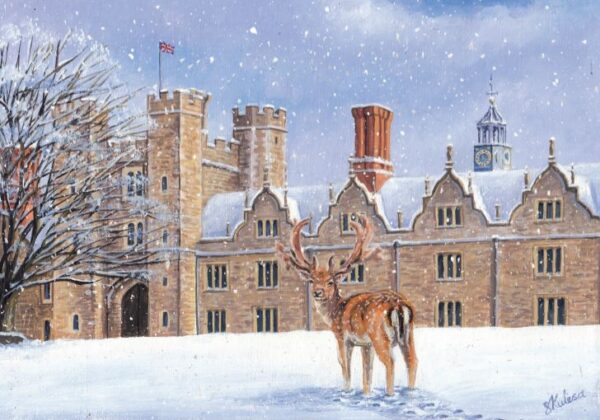 Knole Park in Winter