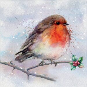 Cute Robin