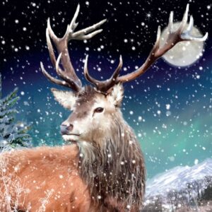 Moonlight Stag