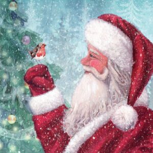 Santa and Robin