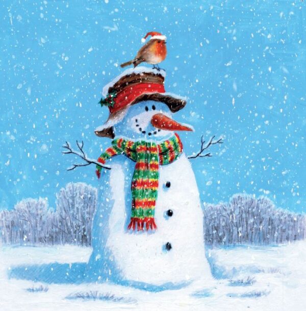 Snowman and Robin