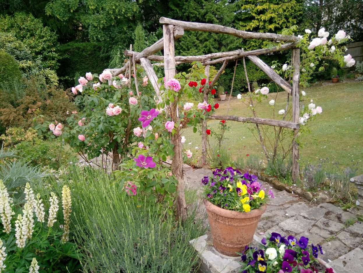 Tunbridge Wells in Bloom Open Gardens